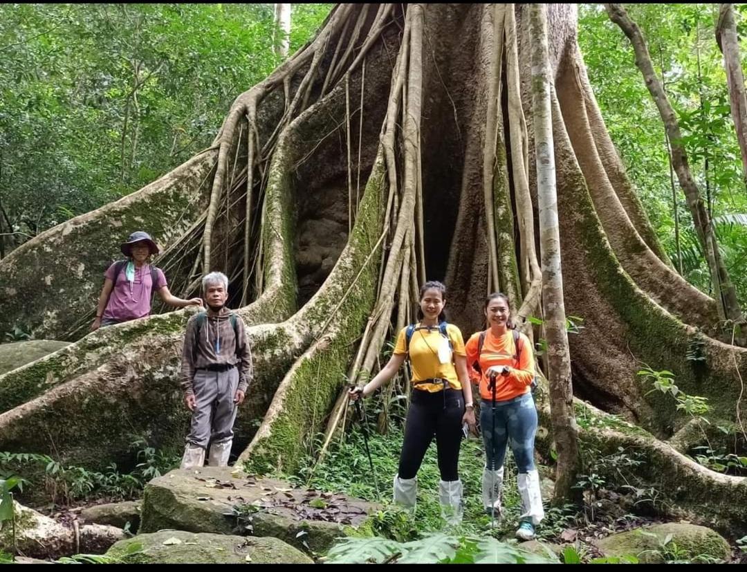 Pakchong Hostel & Wildlife Tour Kültér fotó